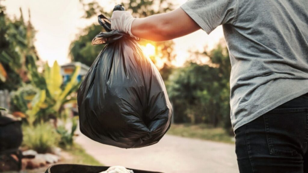 Carnaval en La Plata: cómo funcionarán los servicios municipales durante los feriados