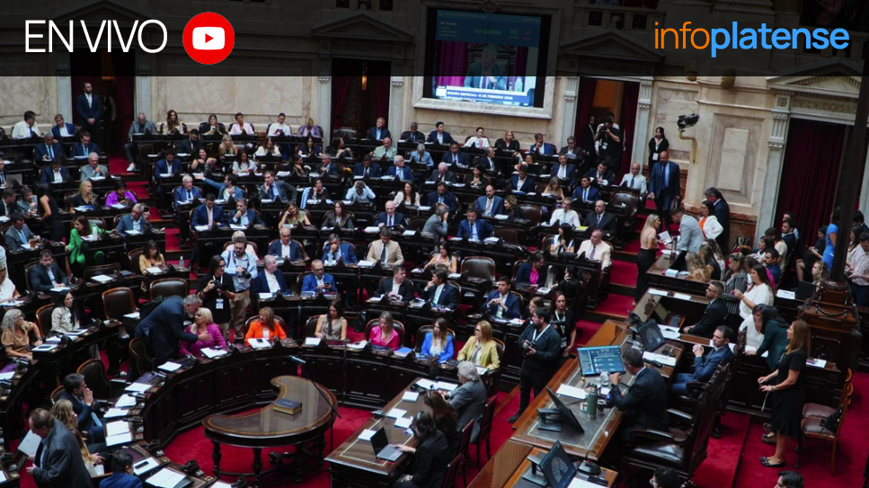 EN VIVO: Diputados debate la suspensión de las PASO